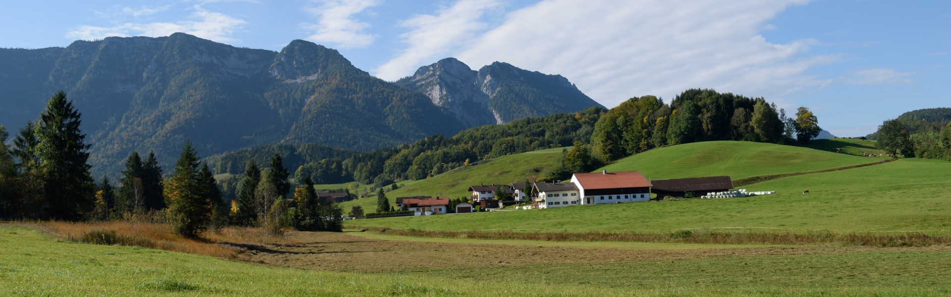Weite Alpenlandschaft mit grünen Wiesen, Bauernhöfen und bewaldeten Bergen unter blauem Himmel.