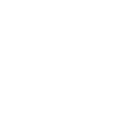 Wlan  Icon